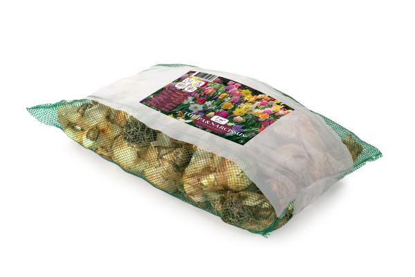 Bulbes à fleurs à planter à l'automne - Tulipes et Narcisses en mélange (x50) - MEDIA_3D